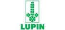 lupin